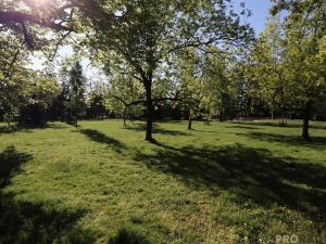 Pronájem bytu 1+kk, Praha - Strašnice, Zvěřinova, 38 m2