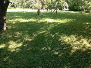Pronájem chaty, Slaný, 15 m2