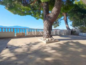 Prodej vily, Makarska, Chorvatsko, 330 m2