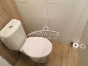 Pronájem bytu 1+kk, Plzeň - Severní Předměstí, Hodonínská, 34 m2