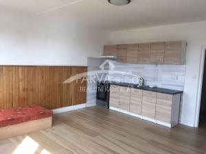 Pronájem bytu 1+kk, Plzeň - Severní Předměstí, Hodonínská, 34 m2