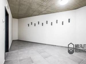 Pronájem bytu 3+kk, Liberec, Puchmajerova, 91 m2