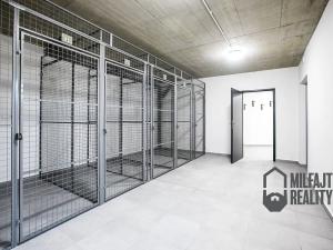 Pronájem bytu 3+kk, Liberec, Puchmajerova, 91 m2