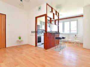 Prodej bytu 2+kk, Praha - Krč, Bystřická, 41 m2