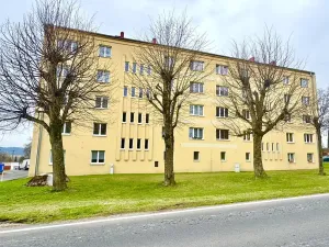 Prodej bytu 3+1, Lázně Kynžvart, 75 m2