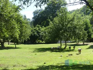 Prodej pozemku pro bydlení, Praha - Liboc, 3377 m2