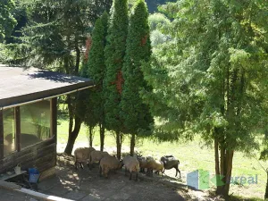 Prodej pozemku pro bydlení, Praha - Liboc, 3377 m2