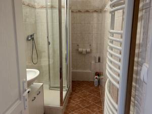 Pronájem bytu 2+kk, Planá, Dukelských hrdinů, 40 m2