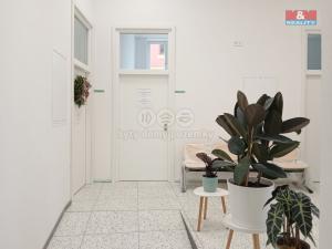 Prodej obchodního prostoru, Opava - Město, Masarykova třída, 100 m2