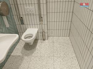 Prodej obchodního prostoru, Opava - Město, Masarykova třída, 80 m2