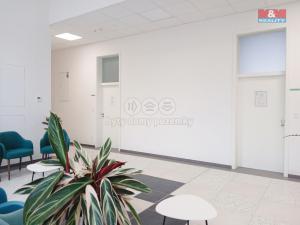 Prodej obchodního prostoru, Opava - Město, Masarykova třída, 20 m2