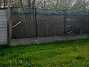 Prodej zemědělské usedlosti, Drhovle - Mladotice, 270 m2