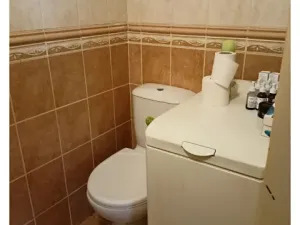 Pronájem bytu 1+kk, Holubice, U Parku, 45 m2