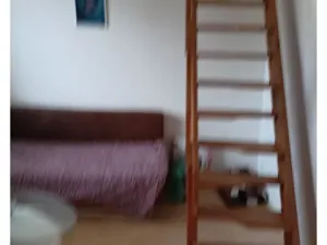 Pronájem bytu 1+kk, Holubice, U Parku, 45 m2