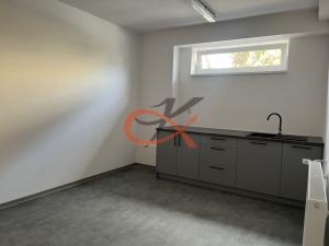 Pronájem komerční nemovitosti, Vidče, 284 m2