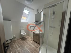 Pronájem komerční nemovitosti, Vidče, 284 m2