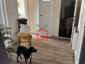 Prodej rodinného domu, Šanov, Dlouhá, 228 m2