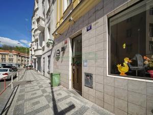 Pronájem bytu 1+1, Praha - Žižkov, Prokopova, 40 m2