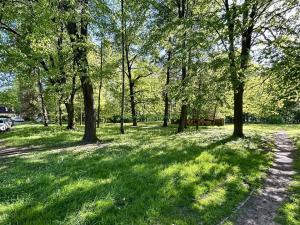 Prodej bytu 1+1, Ostrava, Čujkovova, 28 m2