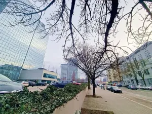 Pronájem bytu 1+kk, Praha - Holešovice, Jankovcova, 30 m2