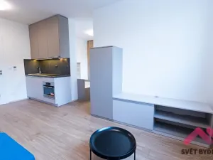 Pronájem bytu 1+kk, Praha - Holešovice, V háji, 40 m2