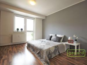 Pronájem bytu 1+kk, Brno - Židenice, Pálavské náměstí, 37 m2