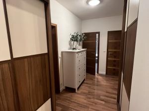 Pronájem bytu 3+kk, Pardubice - Trnová, Jozefa Gabčíka, 85 m2