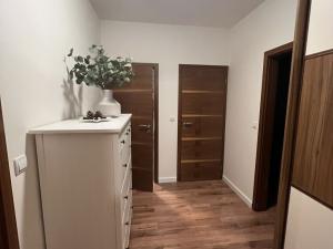 Pronájem bytu 3+kk, Pardubice - Trnová, Jozefa Gabčíka, 85 m2