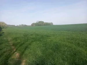 Prodej pozemku pro bydlení, Tvarožná, 750 m2