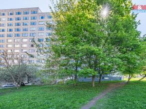 Prodej bytu 1+kk, Příbram - Příbram VIII, Čechovská, 26 m2