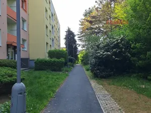 Pronájem bytu 1+1, Brno, Vondrákova, 33 m2