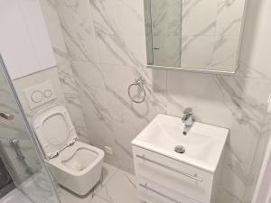 Pronájem bytu 1+kk, Ostrava - Moravská Ostrava, Vojanova, 25 m2