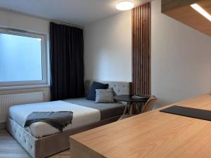 Pronájem bytu 1+kk, Brno, Cejl, 26 m2