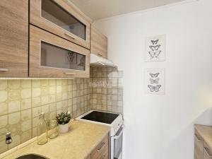 Prodej bytu 1+kk, Kolín - Kolín II, Březinova, 33 m2