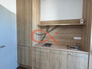 Pronájem bytu 2+kk, Rožnov pod Radhoštěm, 1. máje, 120 m2