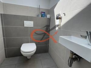 Pronájem bytu 2+kk, Rožnov pod Radhoštěm, 1. máje, 120 m2