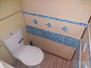 Prodej bytu 2+1, Krnov - Pod Bezručovým vrchem, Budovatelů, 43 m2