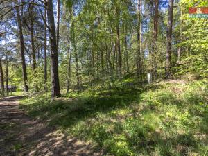 Prodej zahrady, Sloup v Čechách, Hřbitovní, 487 m2