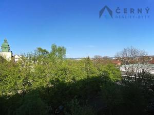 Pronájem bytu 1+1, Liberec, Americká, 29 m2