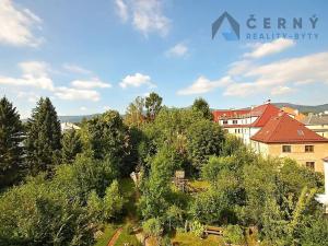 Pronájem bytu 1+1, Liberec, Americká, 46 m2