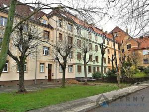 Pronájem bytu 1+1, Liberec, Americká, 46 m2