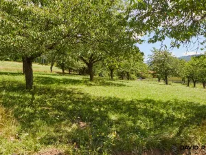 Prodej pozemku pro bydlení, Vyškovec, 2226 m2