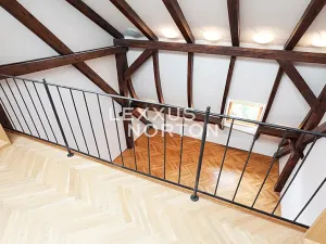 Pronájem bytu 5+1, Praha - Vinohrady, Ibsenova, 282 m2