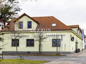 Prodej ubytování, Praha - Malešice, U tvrze, 40 m2