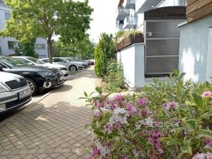 Pronájem bytu 2+kk, Praha - Vokovice, Tibetská, 75 m2