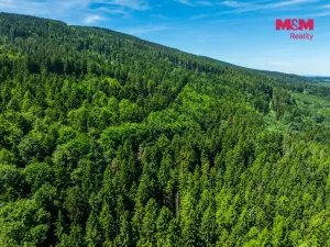 Prodej pozemku pro bydlení, Červená Voda, 1251 m2