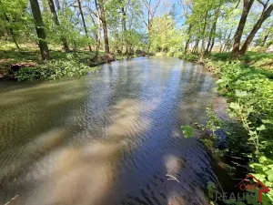 Pronájem rybníku, Bystřice pod Hostýnem, 781 m2