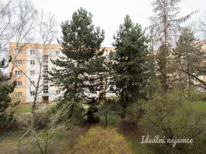 Pronájem bytu 2+1, Praha - Malešice, Počernická, 53 m2