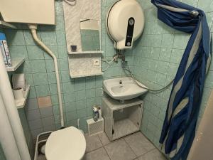 Pronájem bytu 1+kk, Ostrava, Závišova, 15 m2