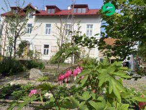 Prodej bytu 1+kk, Černiv, Černiv, 52 m2